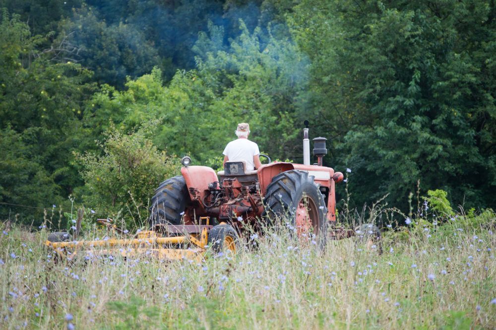 Person on a rusty orange tractor plowing a field, surrounded by tall grass and trees.