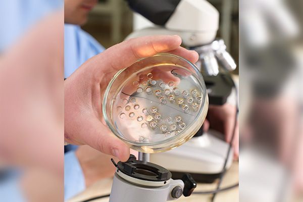 LABORATORIO MARIA LUISA