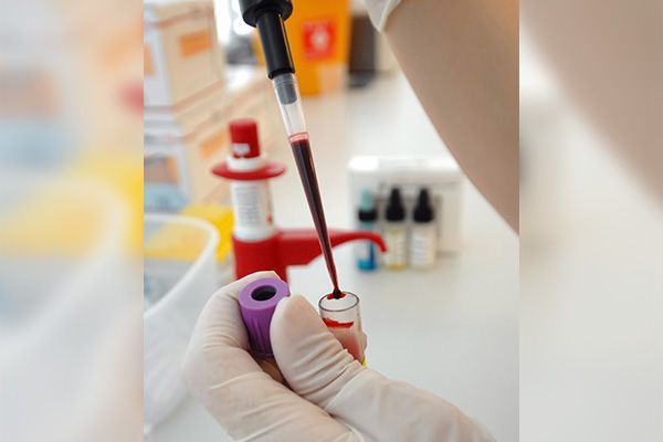 LABORATORIO MARIA LUISA