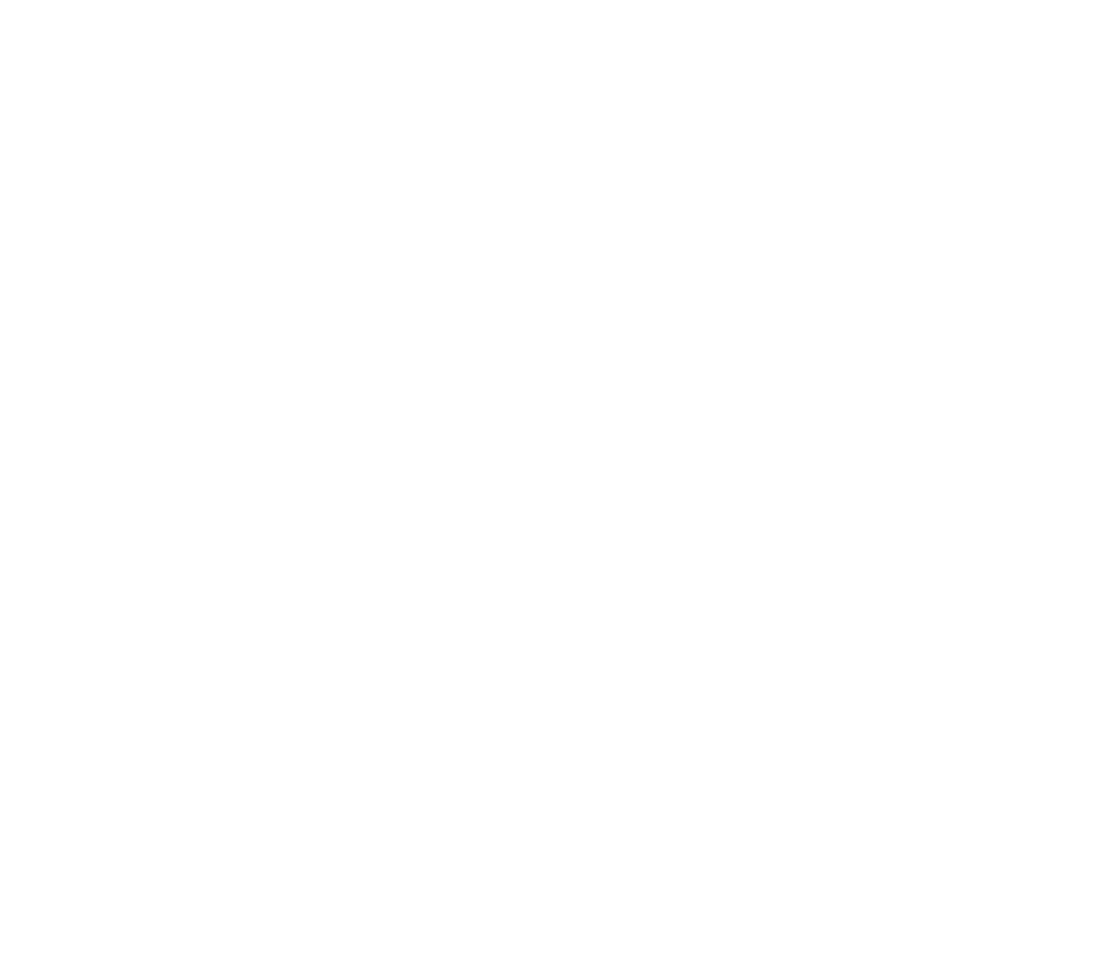 Elite Nails Apex logo