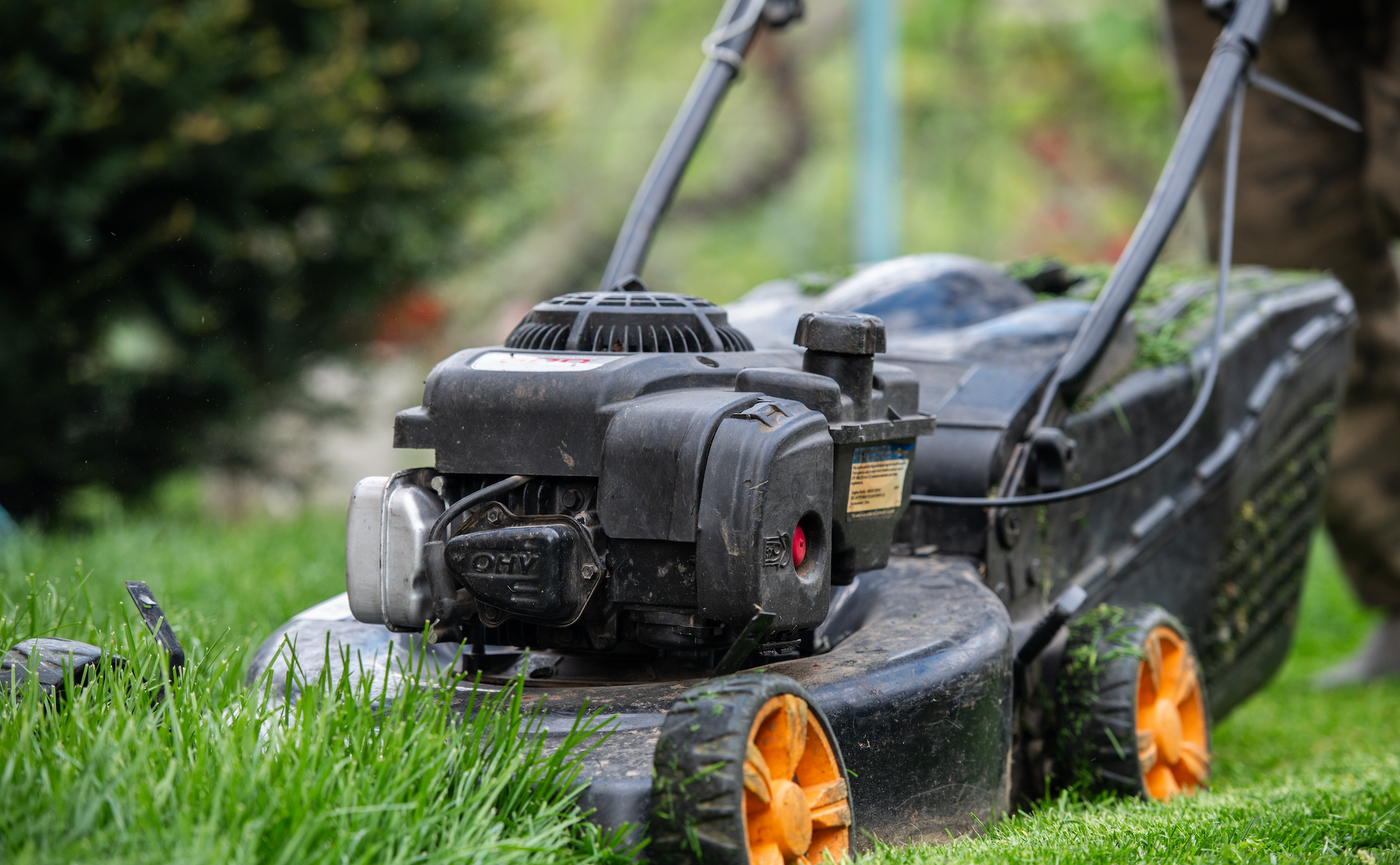A person is mowing a lush green lawn with a lawn mower.