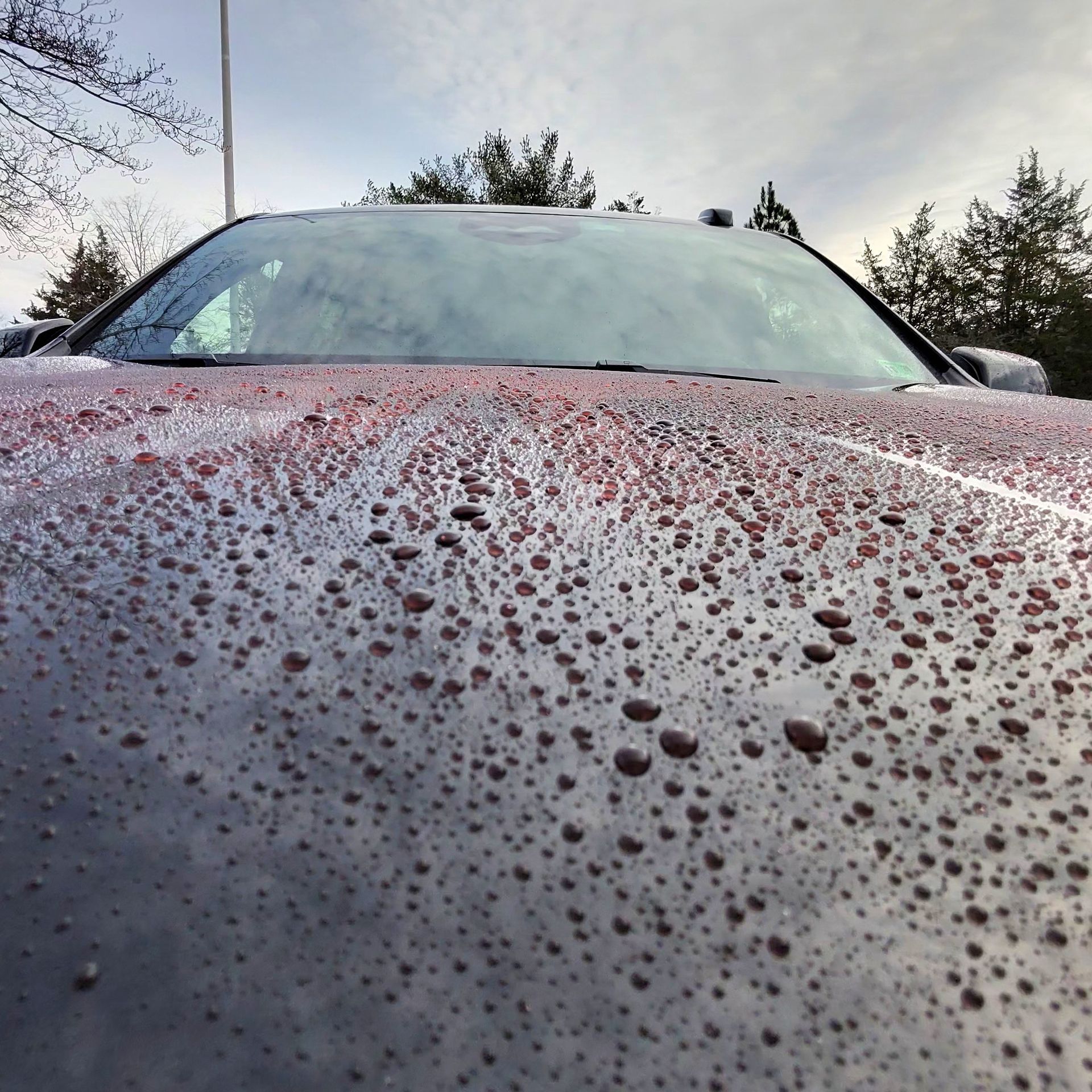 A dark-colored car hood covered in small water droplets from a recent rain, viewed from a low angle toward the windshield.