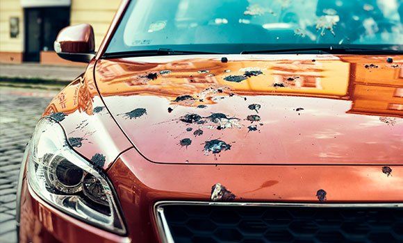Orange car hood splattered with mud, parked outdoors near a curb