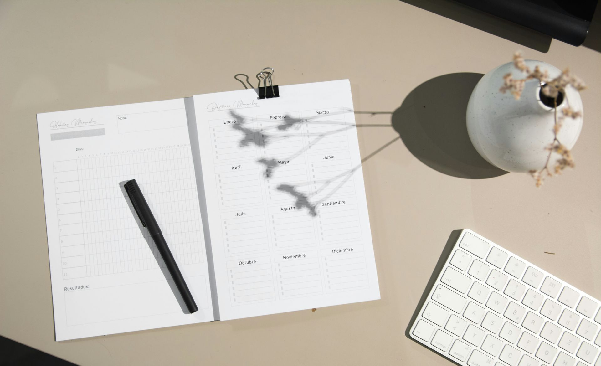 Overhead view of a desk with an open planner, black pen, white keyboard, vase with dried flowers.