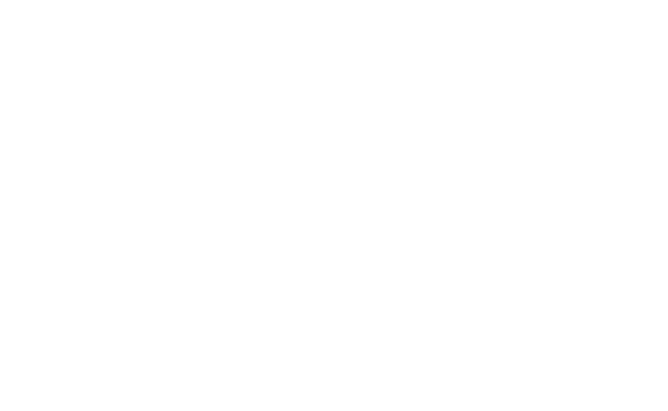 Zephir Line White Logo.