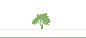 Capital City Law