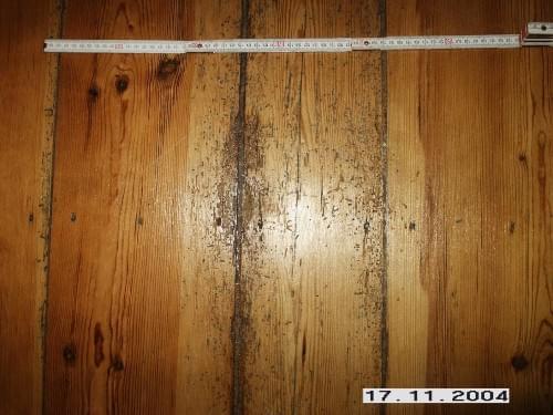 Holzfußboden mit dunkler Verfärbung und Lineal; datiert 17.11.2004.