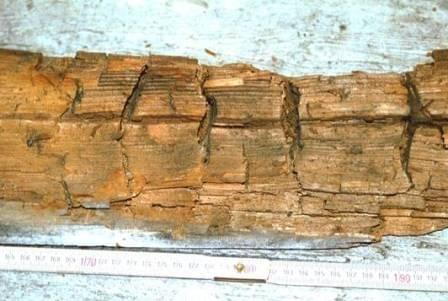 Rissiger, verwitterter Holzbalken mit sichtbarer Maserung; darunter liegt ein Metalllineal zum Größenvergleich.