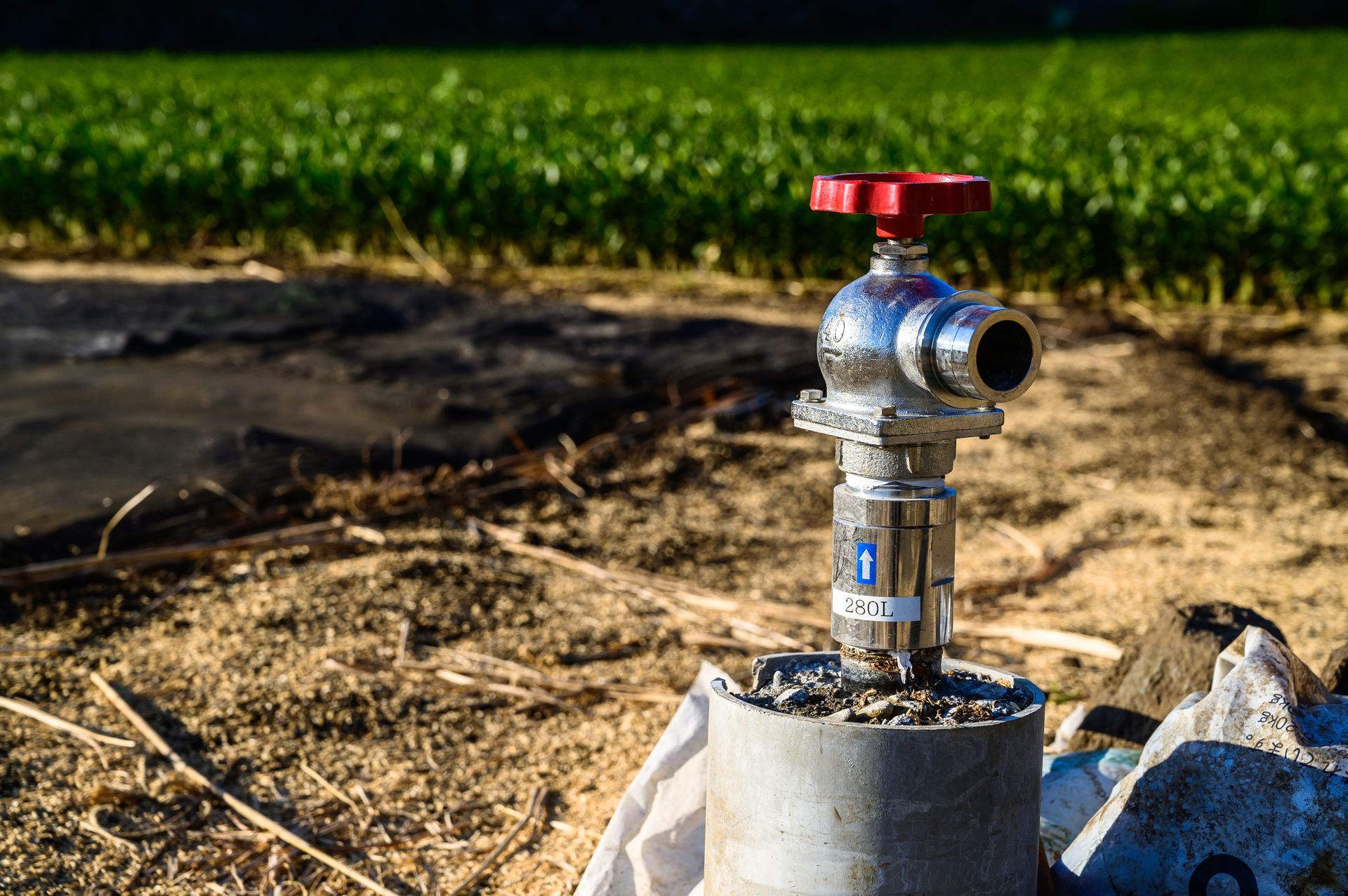 Irrigation water valve with red handle in a field, next to a crop row.