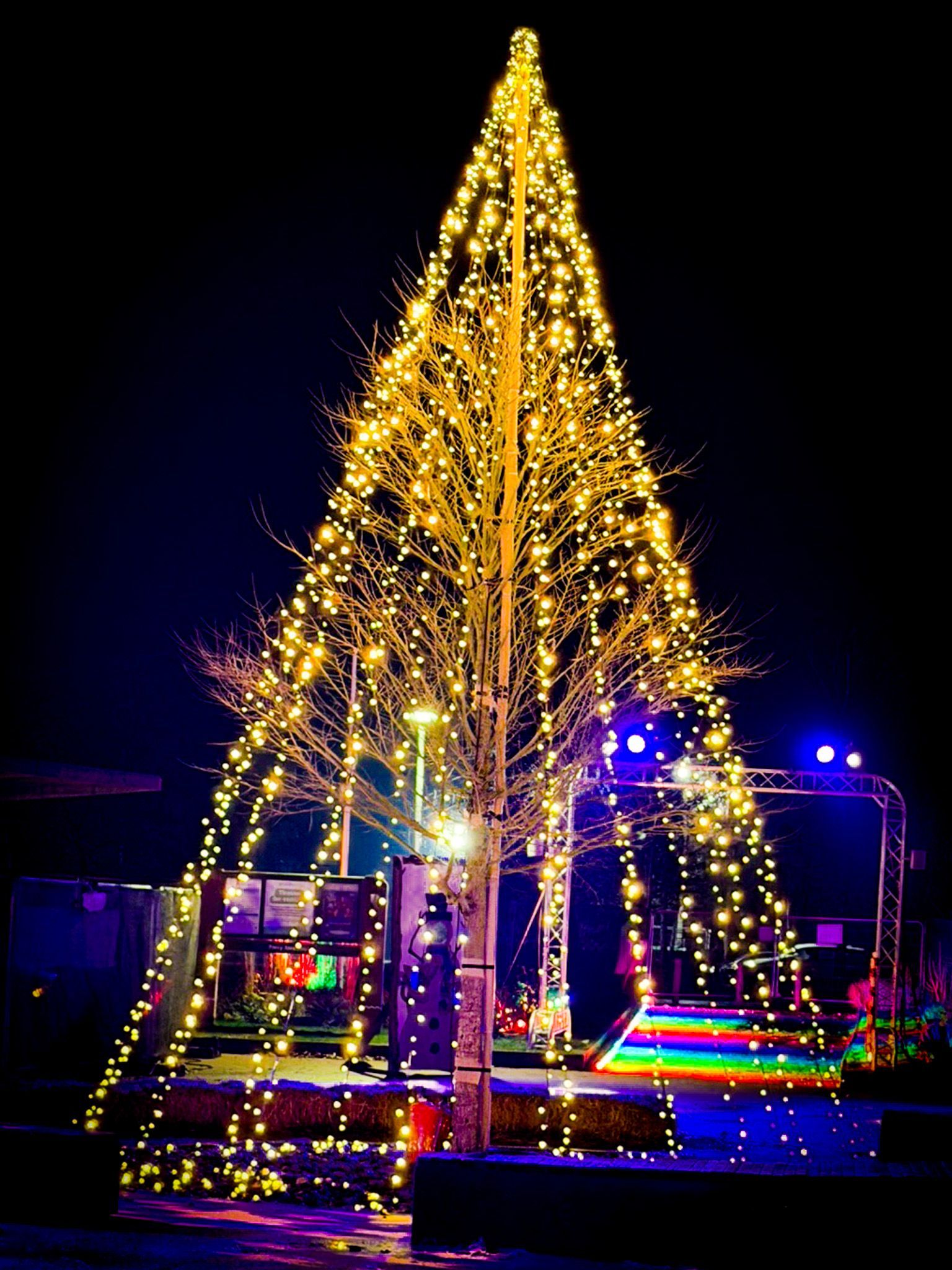 A chrstmas tree made with fairy light strings for light trial event