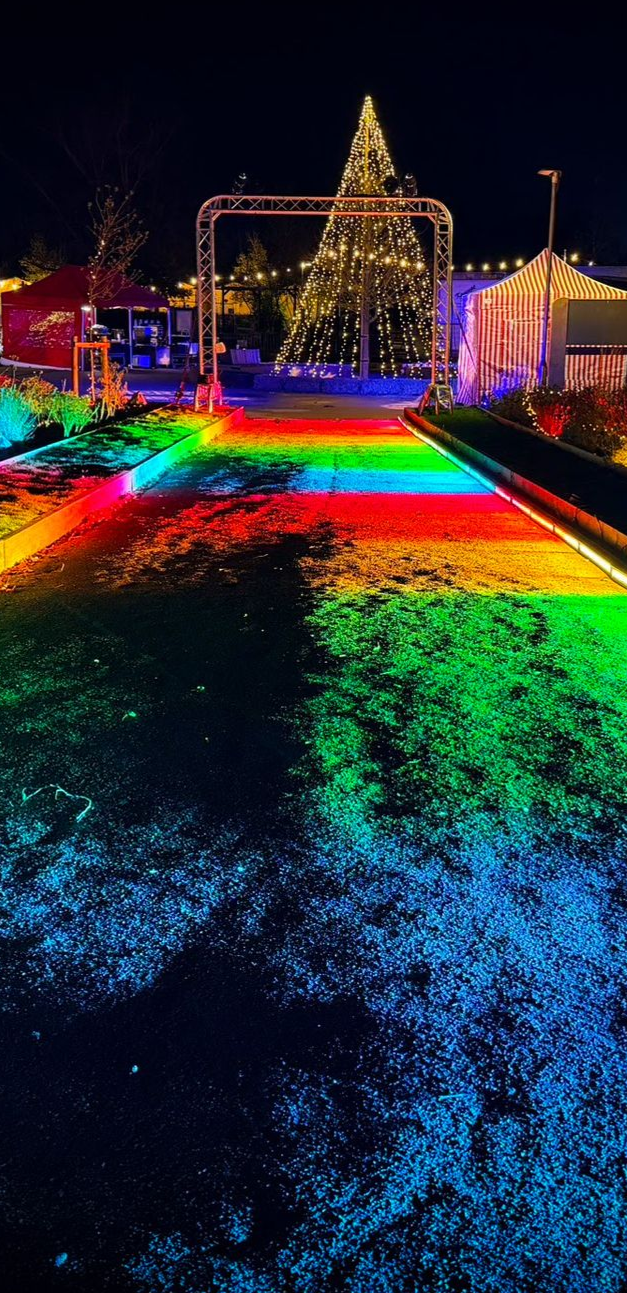 Bright viberant entrance to a christmas light trail.