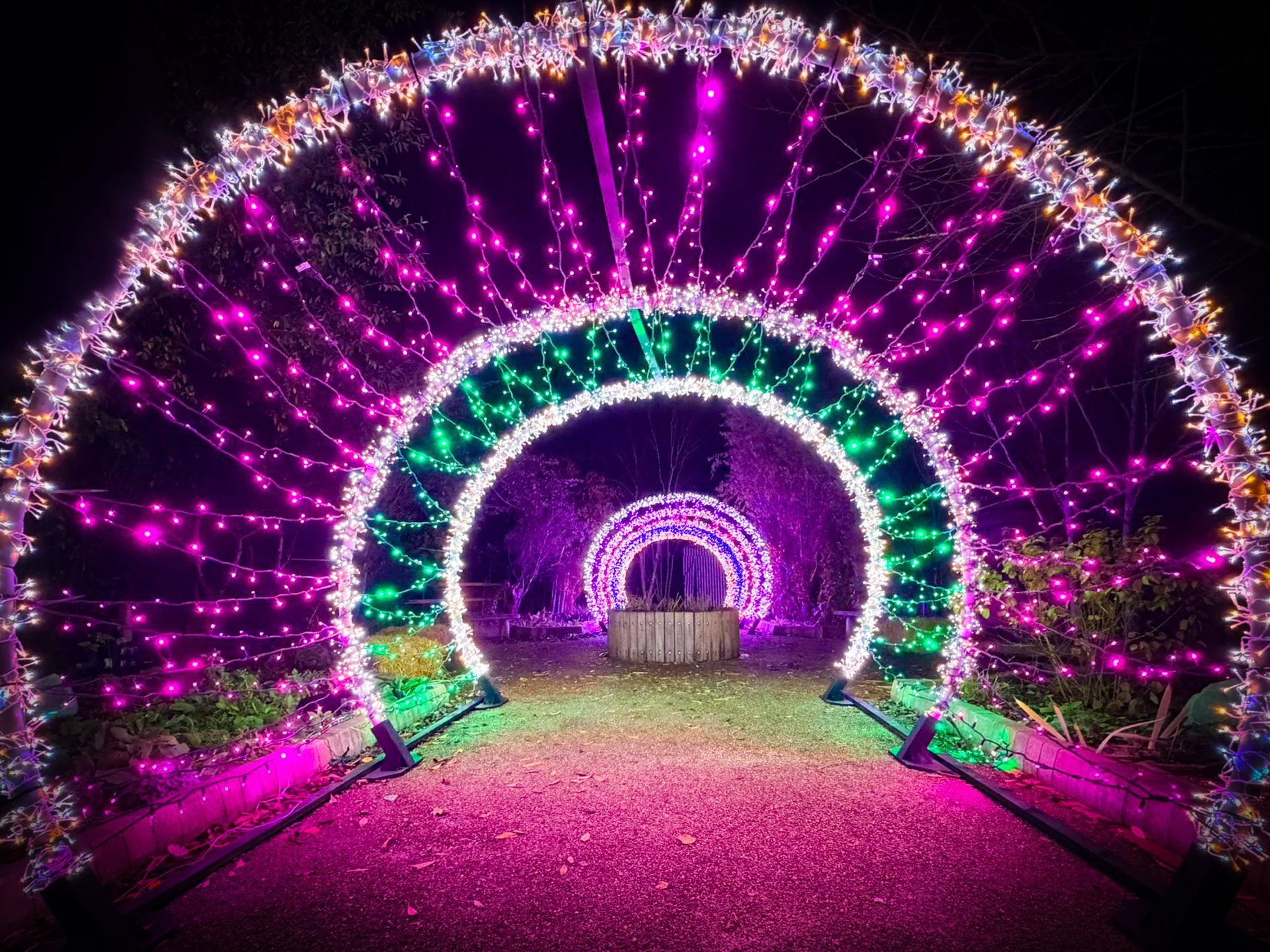 A tunnel of coloured fairy lights at a Christmas event