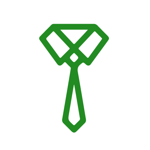 Icona - Professionalità