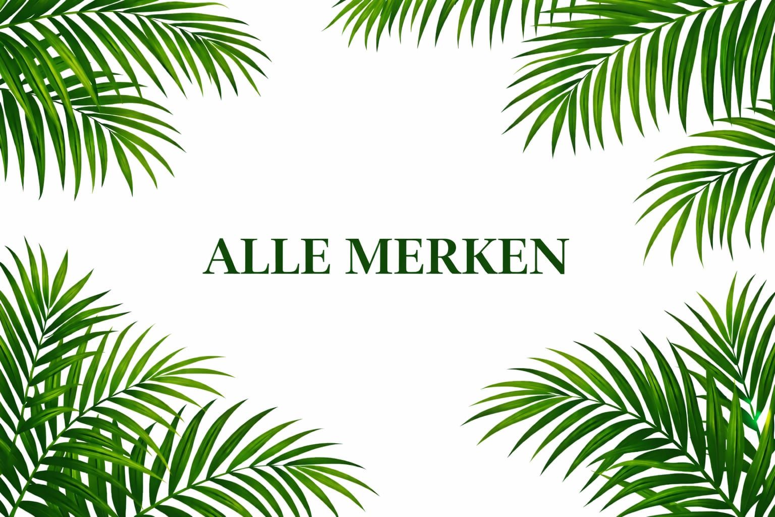 Groene palmbladeren omlijsten de tekst 