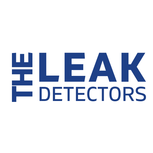 plumbers leak detection near me