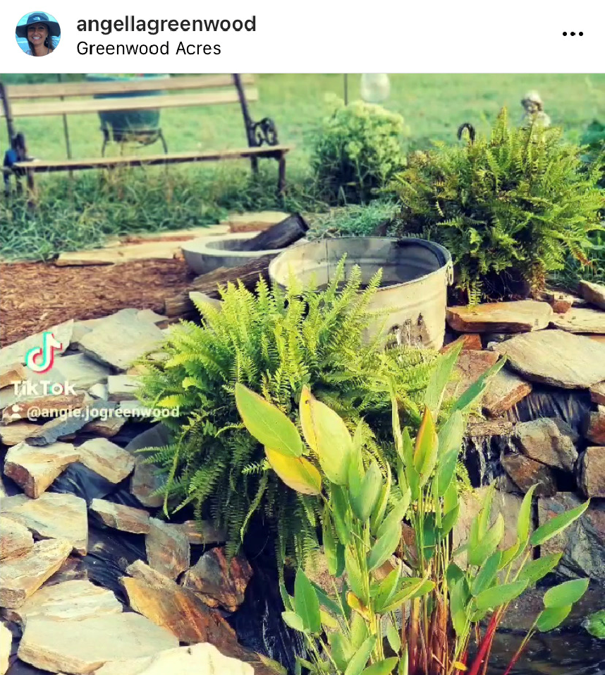 a waterfall in a garden with rocks and plants .