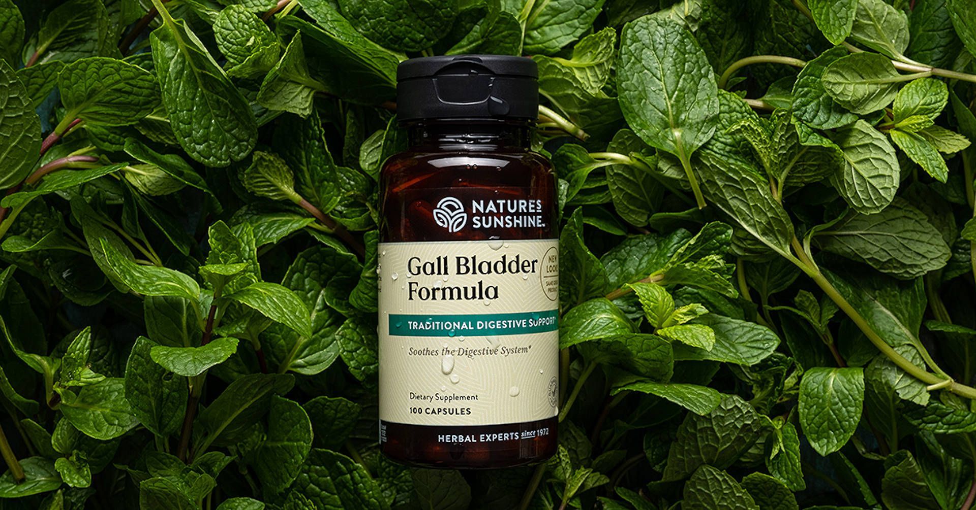 herbs used historically for gall bladder issues. Natures Sunshine Product called GALL BLADDER FORMULA