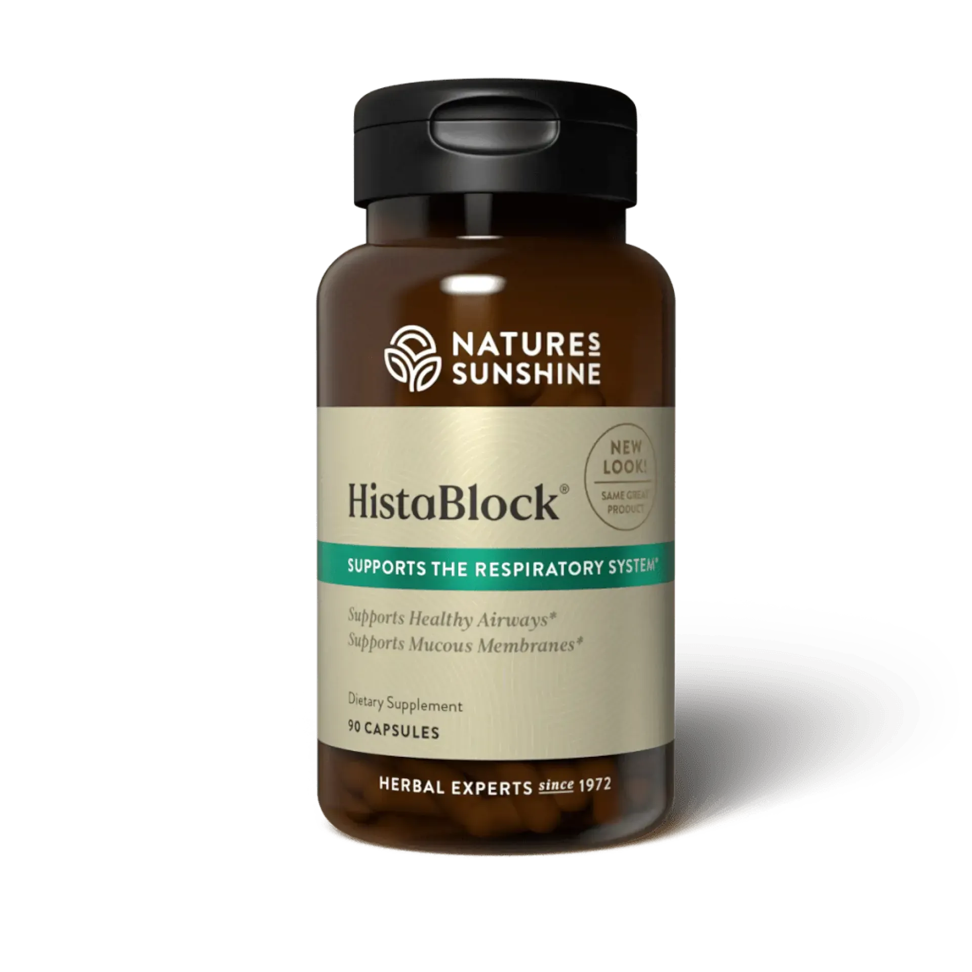 Hista Block