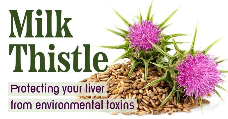 Liver; toxins; cleansing; protecting liver;