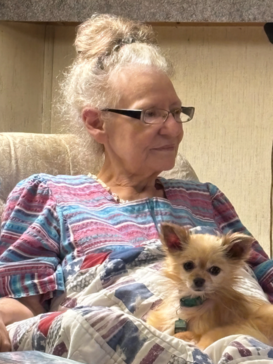 small dog in the lap of a Lady 