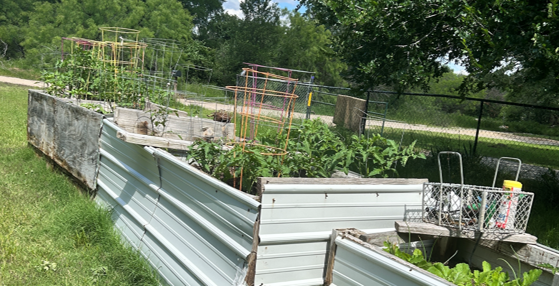 green full GARDEN In raised metal beds