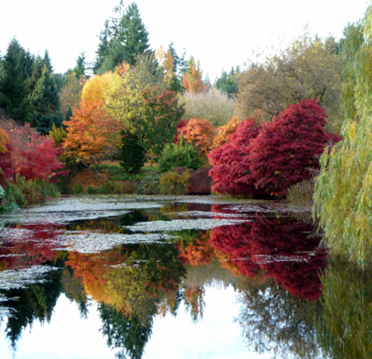 Autumn lake cooler weather temperatures