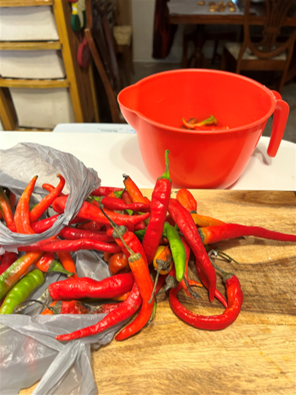 red hot chili peppers and bowl where they are being cleaned