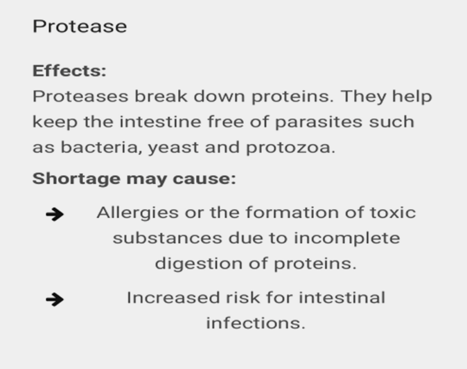 a list of effects of protease including allergies and the formation of toxic substances due to incomplete digestion of proteins