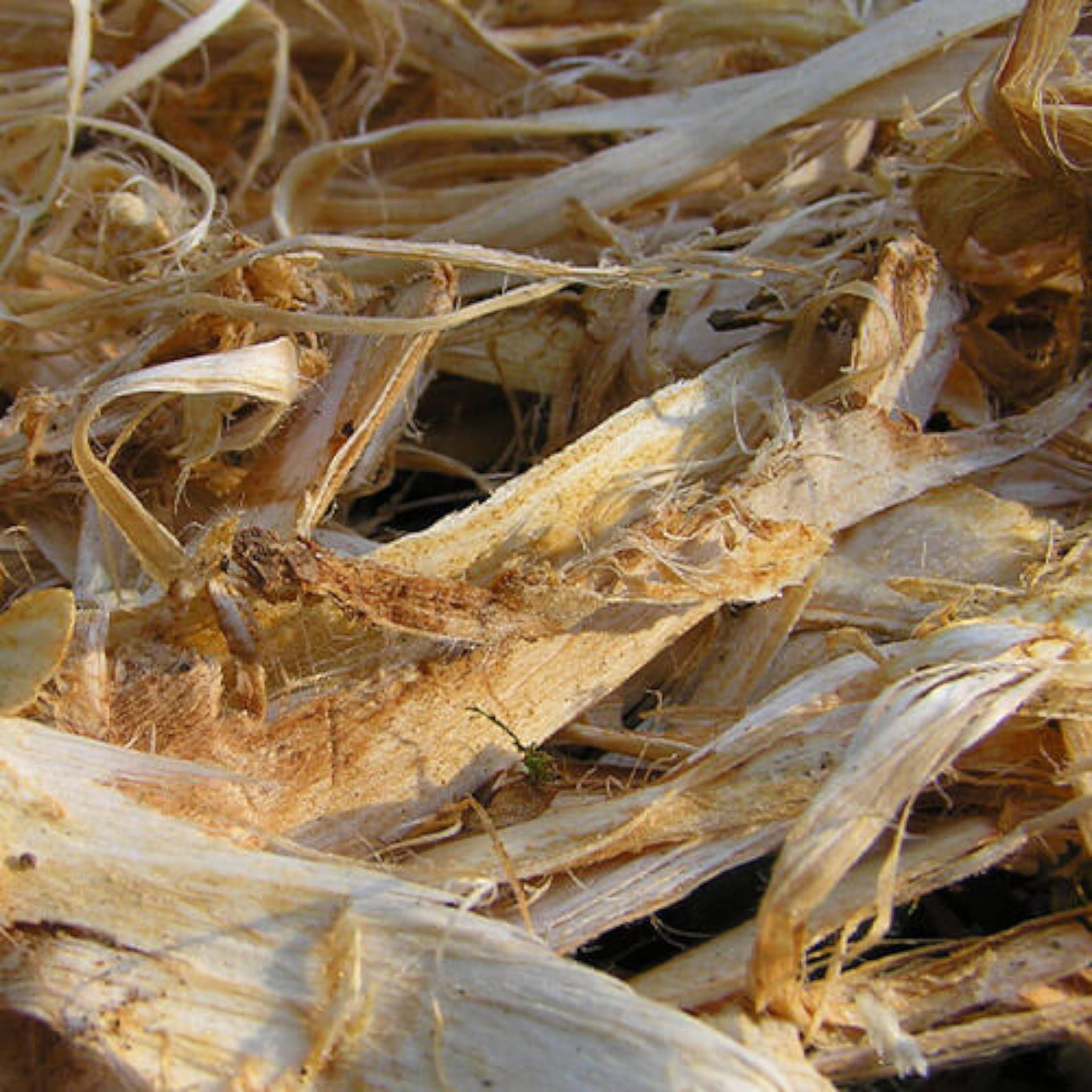 A close up of a pile of straw.