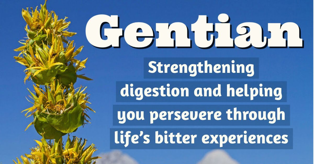 a poster that says ' gentian strengthening digestion and helping you persevere through life 's bitter experiences '