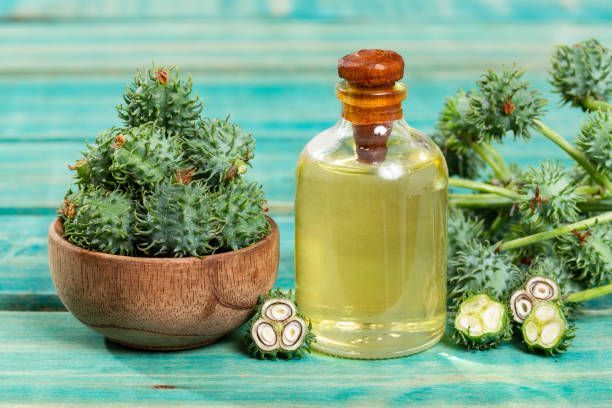 Castor oil bottle with green spiky fruit and seeds on a blue wooden surface.