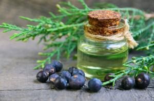 Juniper Essential Oil