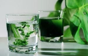 Two glasses of water with green liquid in them on a table.