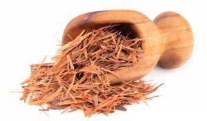 bark; antifungal