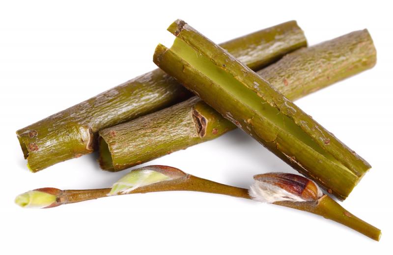 willow bark