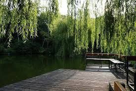 A wooden dock surrounded by trees next to a lake.