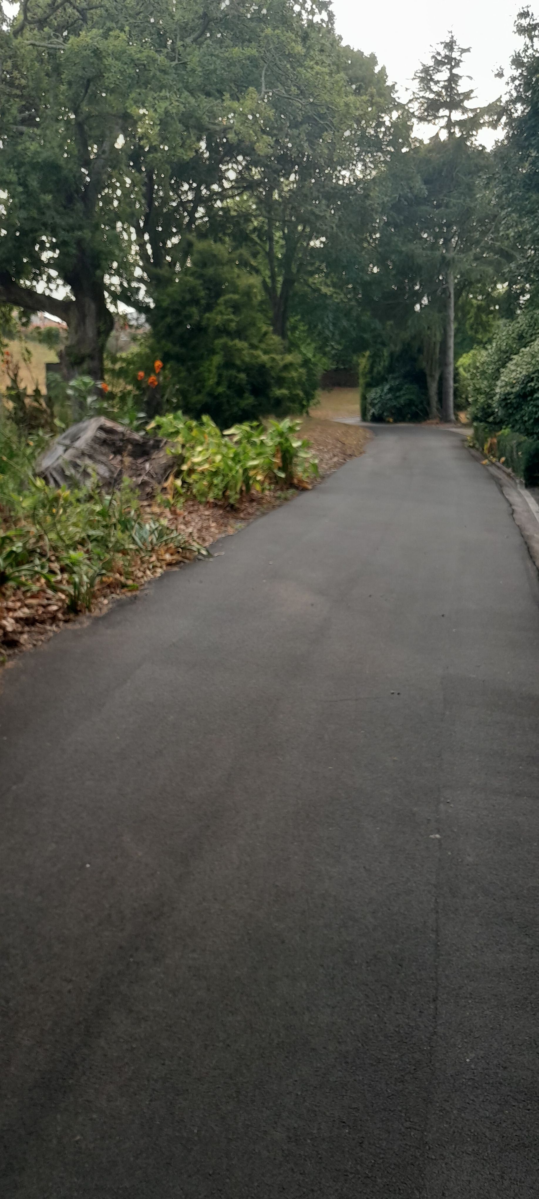 A road with trees on both sides of it and a car parked on the side of it.