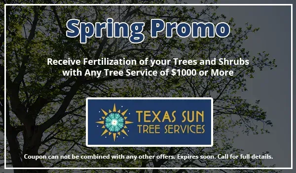 Spring promo from Texas Sun Tree Services: Fertilization with $1000+ tree service.
