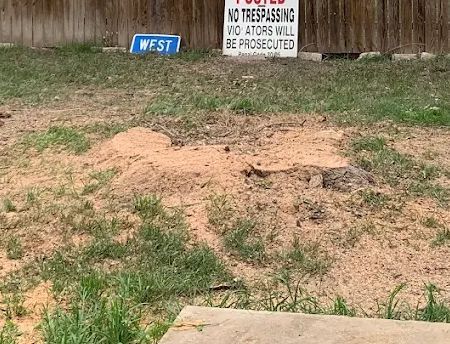 A sandy yard with patches of grass and a