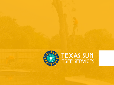 Logo for Texas Sun Tree Services: Sunburst icon with text. Person trimming a tree in the background.