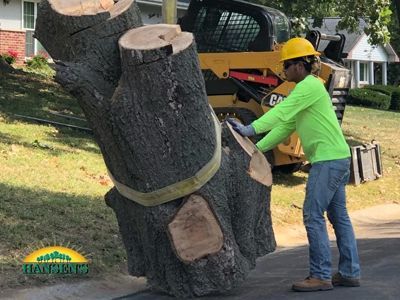 Worker in yellow helmet and green shirt guiding a large tree trunk being lifted by a small yellow construction vehicle.