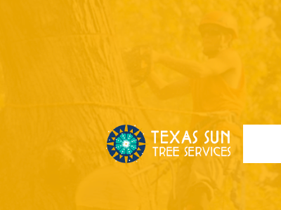 Logo: Blue sunburst, text