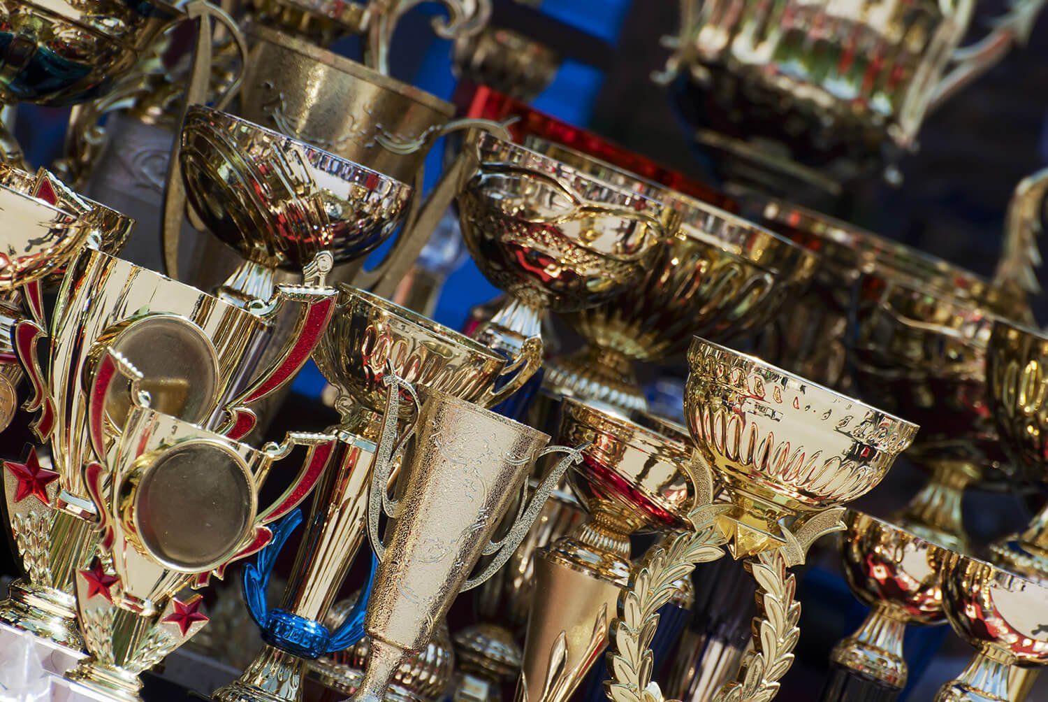 Photo of numerous different trophy styles