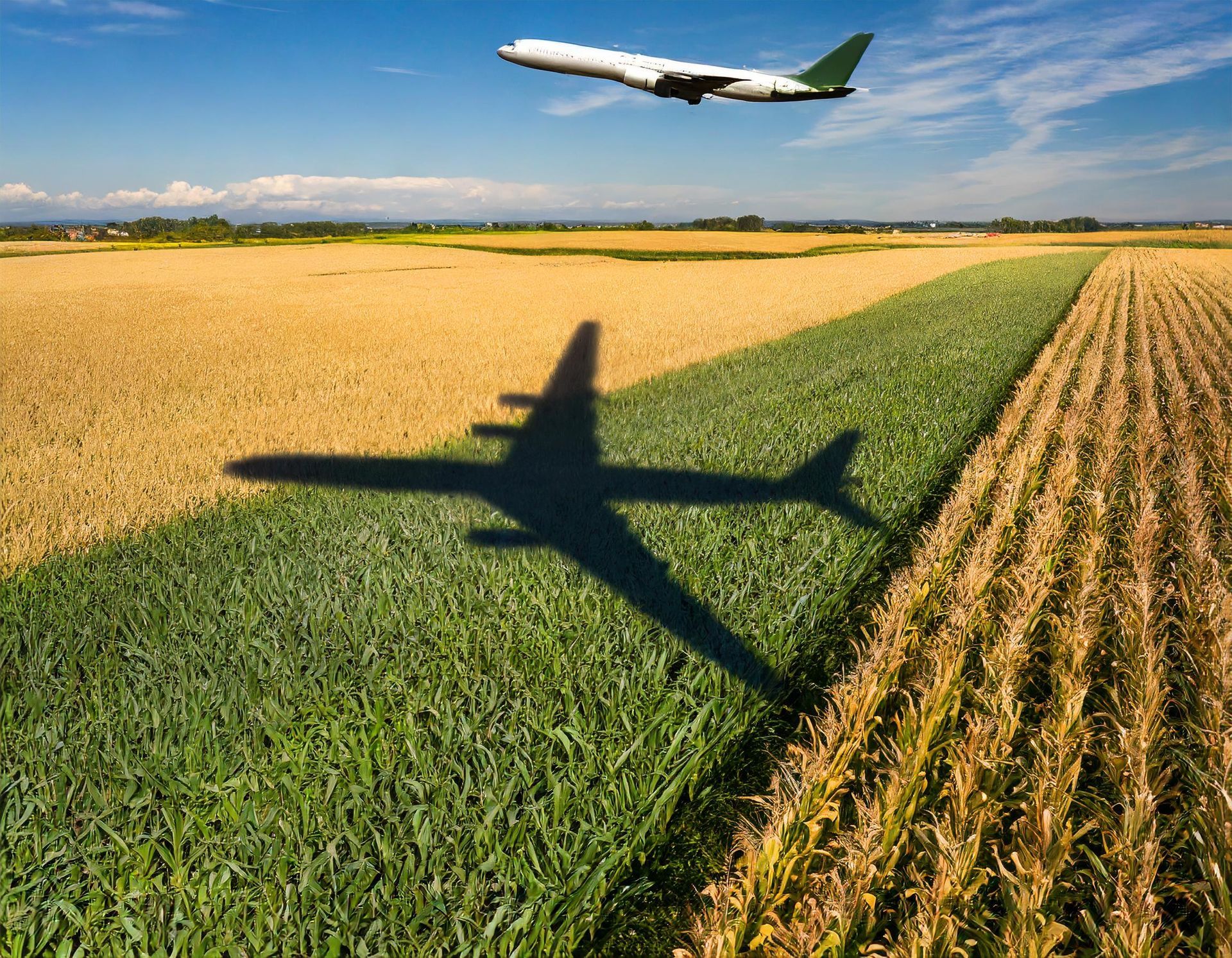 jet plane flying over a corn field