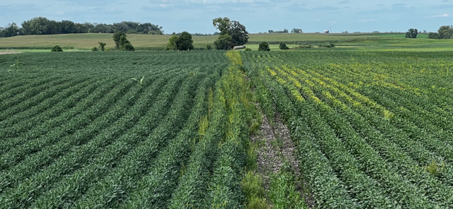 The Research is In: Your Fields Can Thrive and Not Just Survive