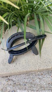 Un fer à cheval en forme de tortue est posé sur le sol à côté d'une plante.