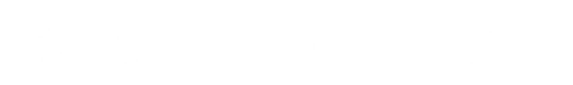 Una imagen blanca en blanco.