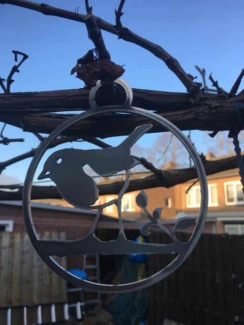 Een vogel die aan een boomtak hangt met een huis op de achtergrond