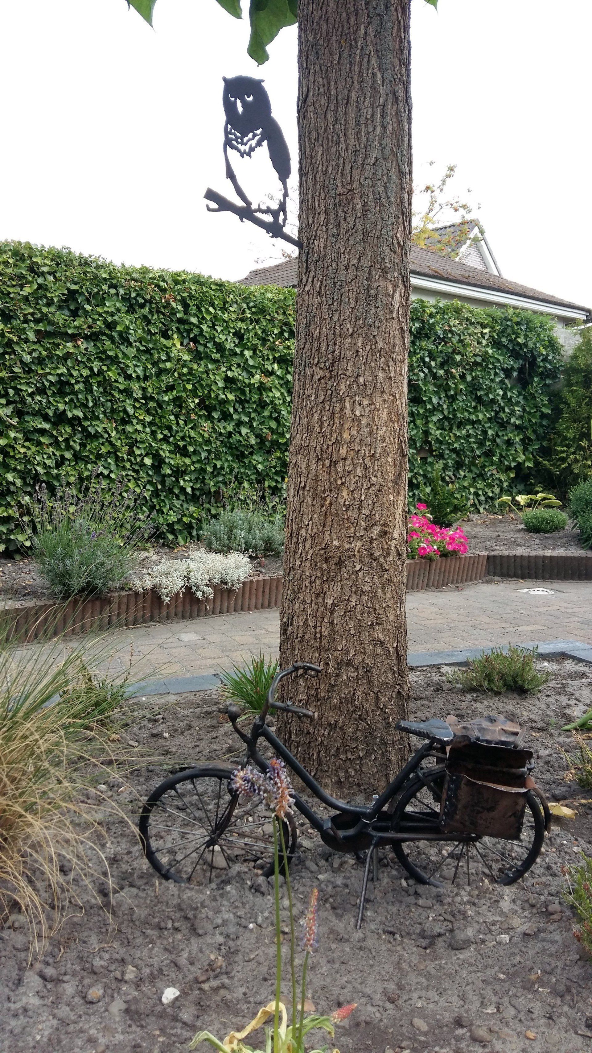 Een fiets staat geparkeerd onder een boom in een tuin.