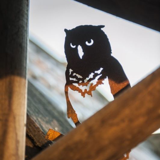 Een silhouet van een uil die op een boomtak zit